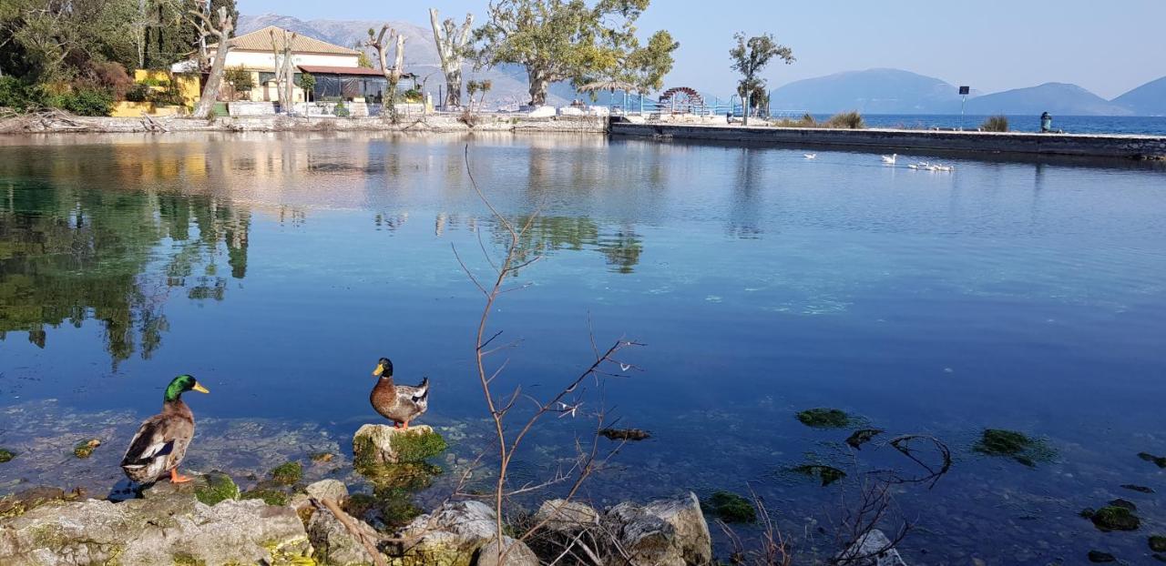 Appartement K For Kefalonia